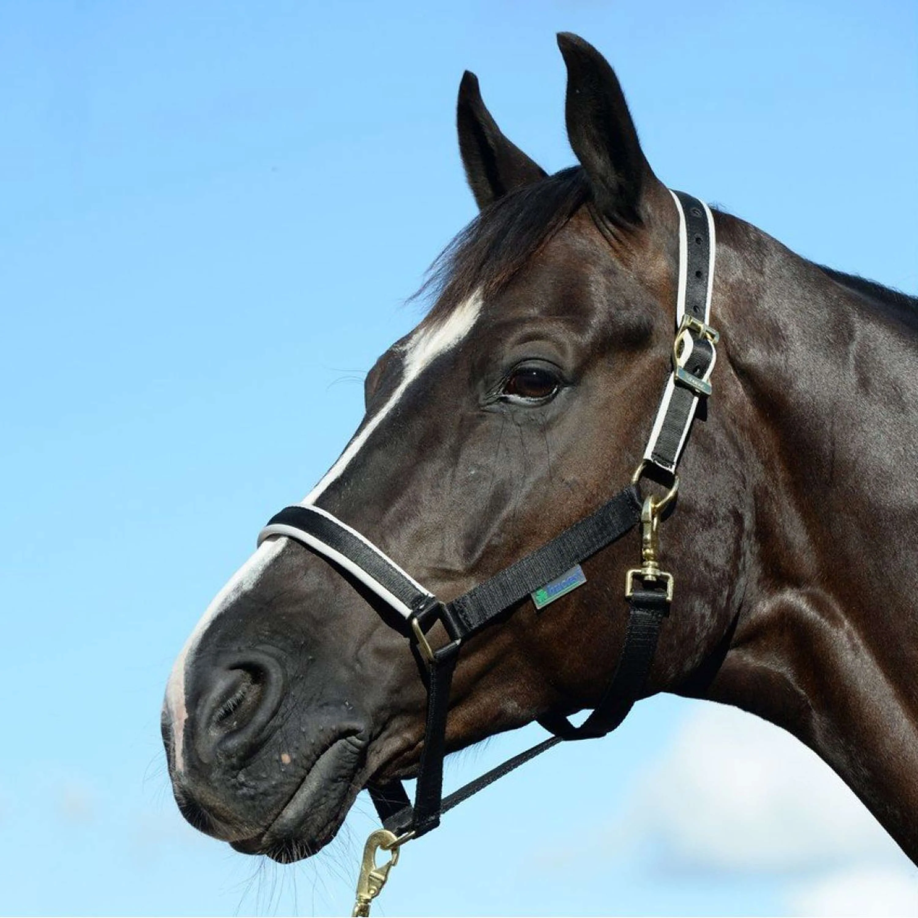 Productafbeelding 2