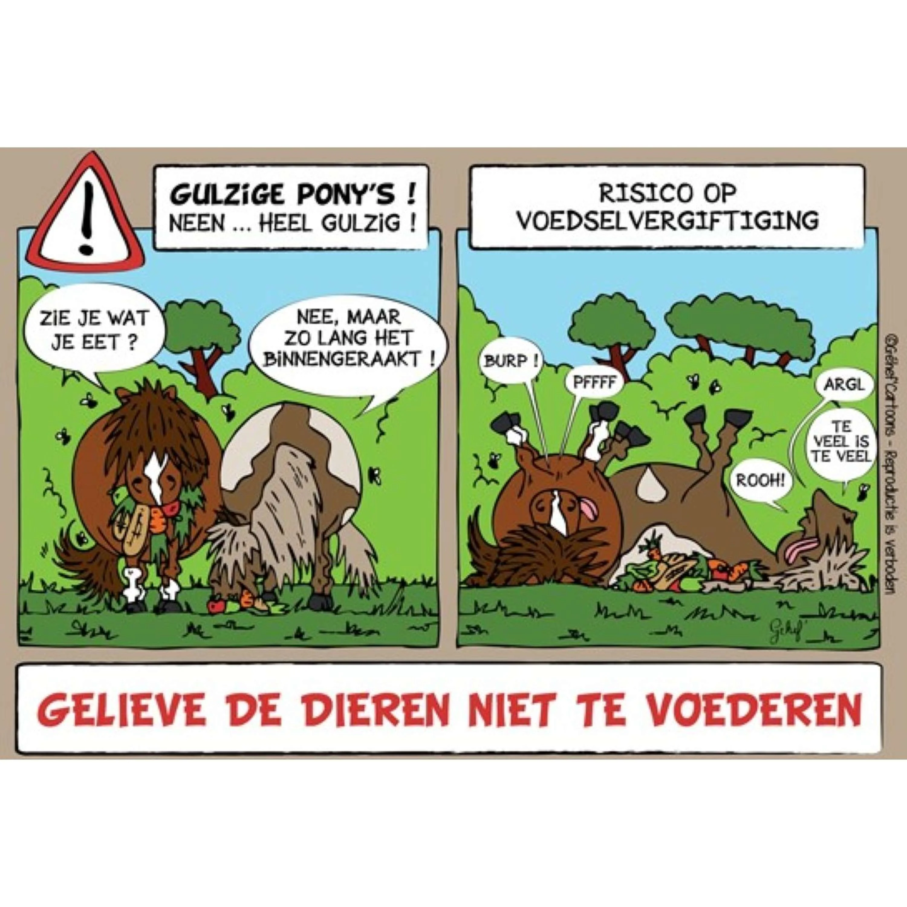 Productafbeelding 1