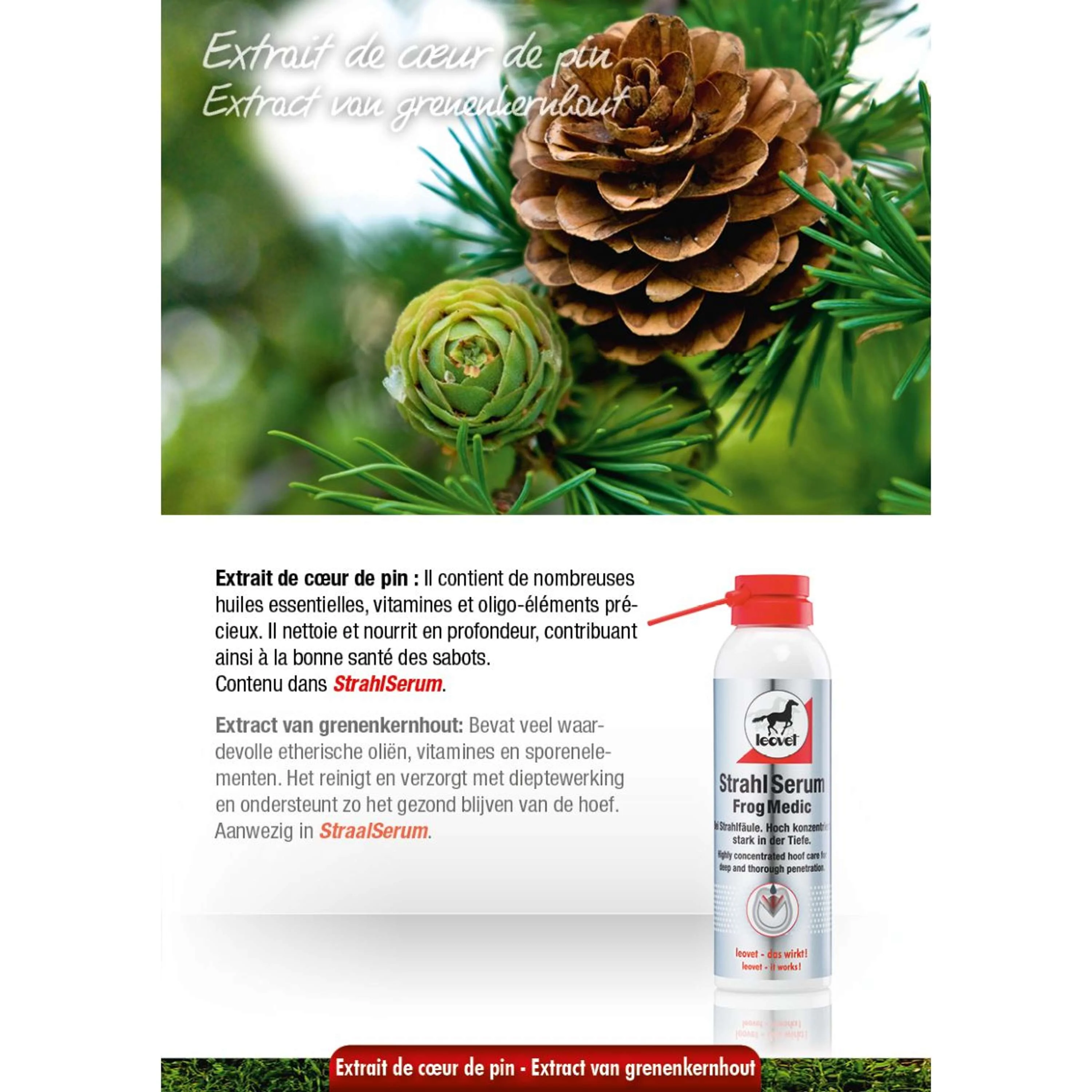 Productafbeelding 2