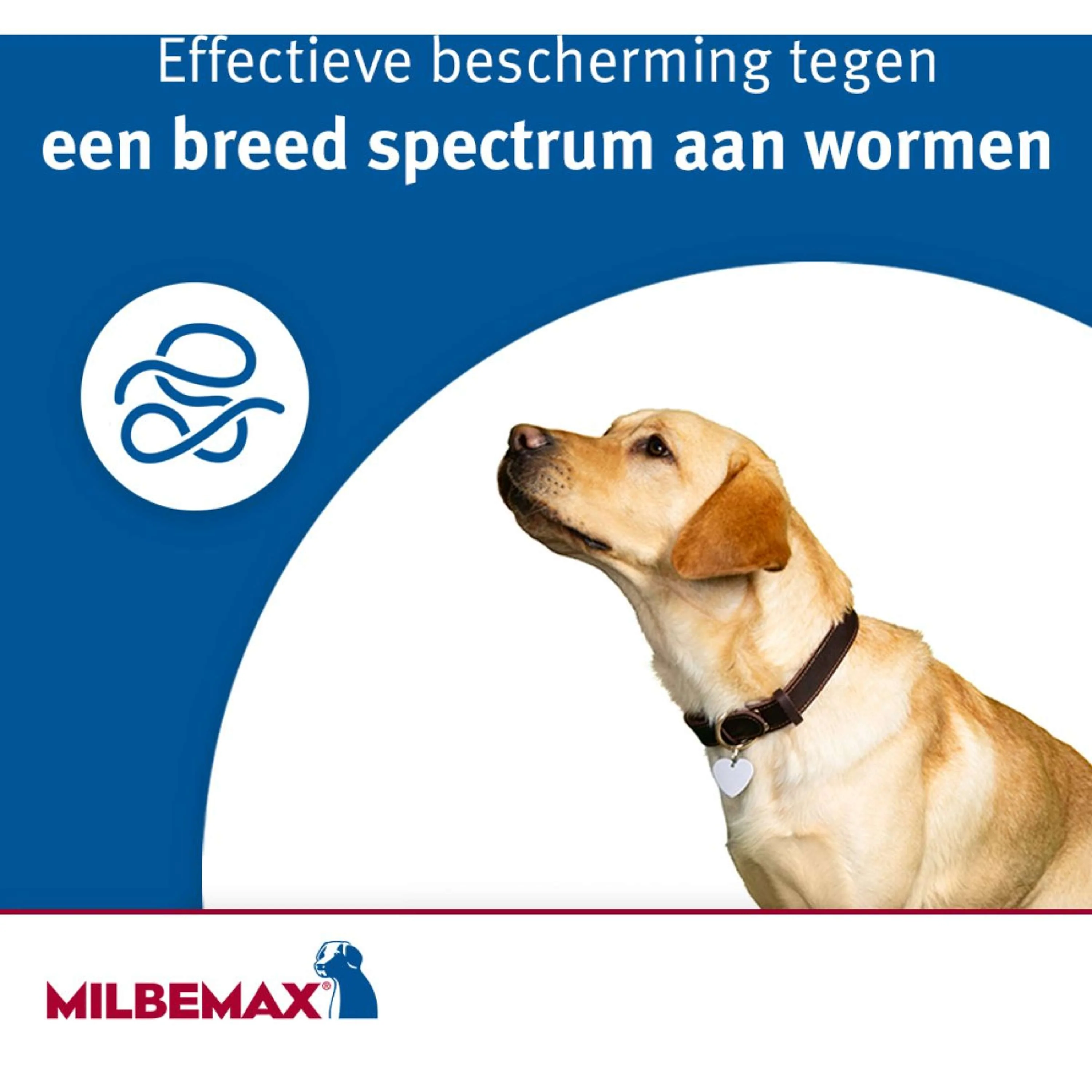 Productafbeelding 8
