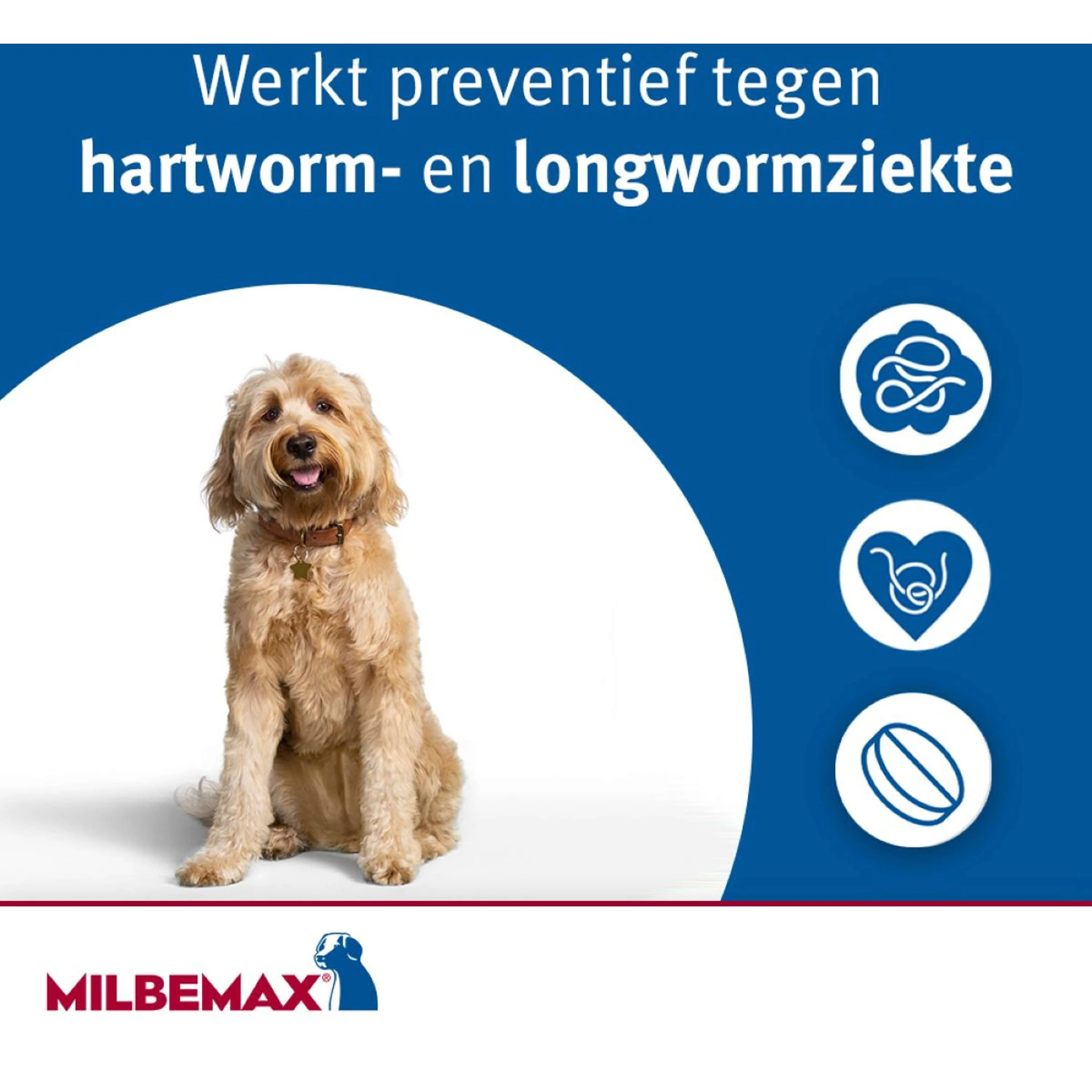 Productafbeelding 9