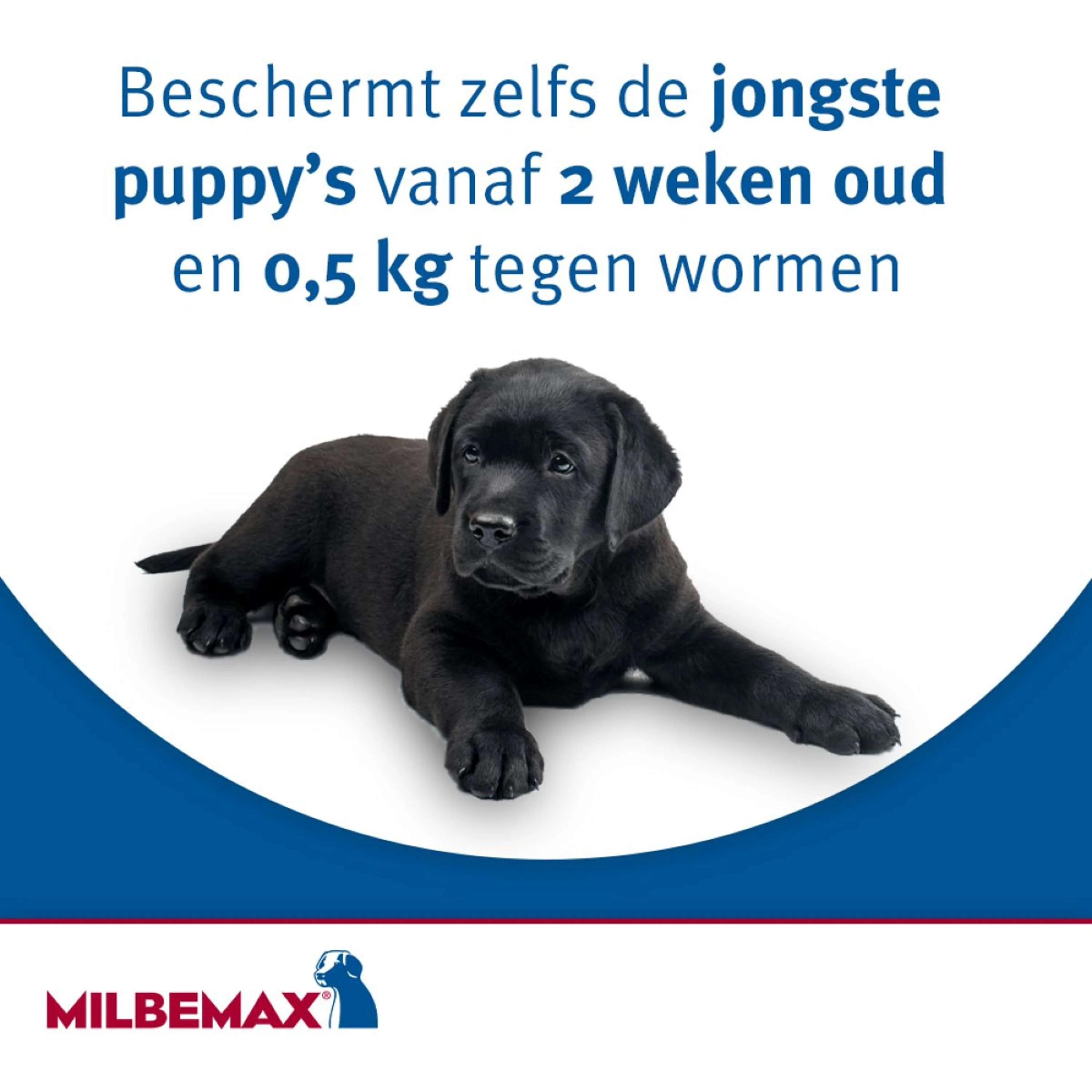Productafbeelding 9
