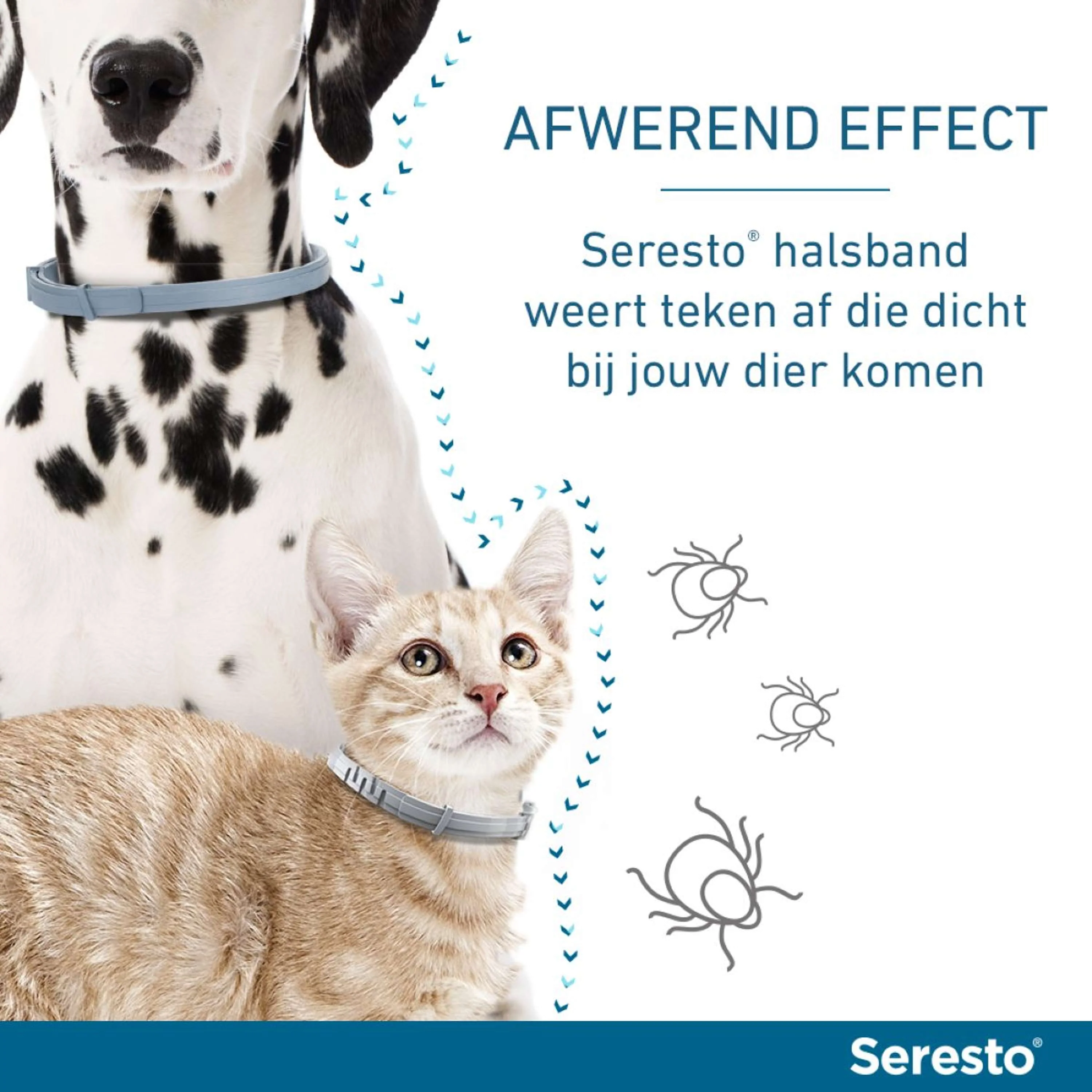 Productafbeelding 4