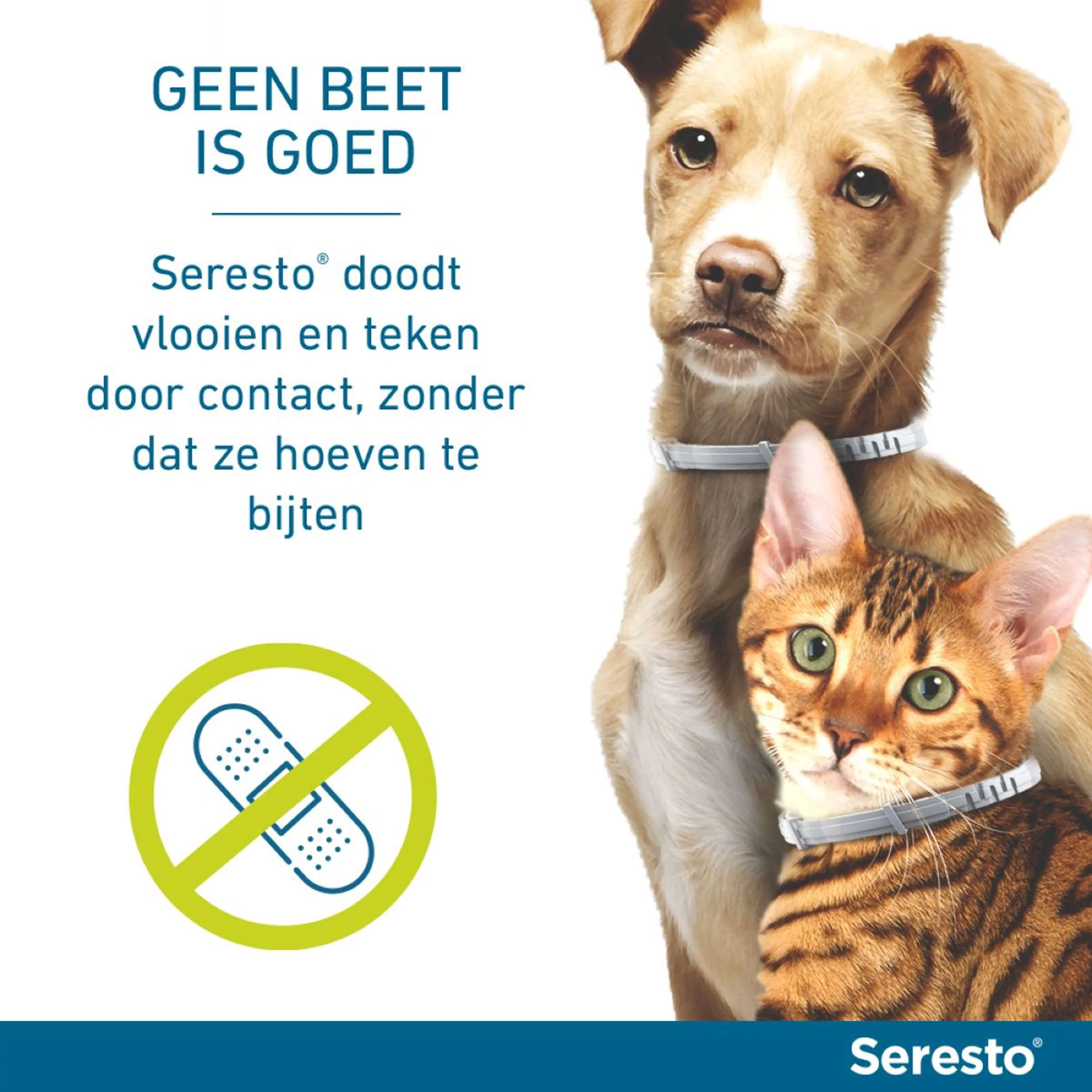 Productafbeelding 5
